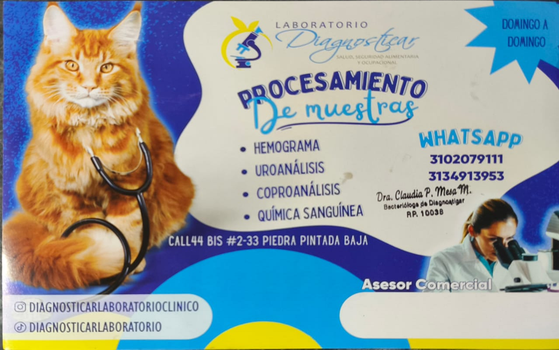 Hemograma, uroanálisis, coproanálisis y química sanguínea