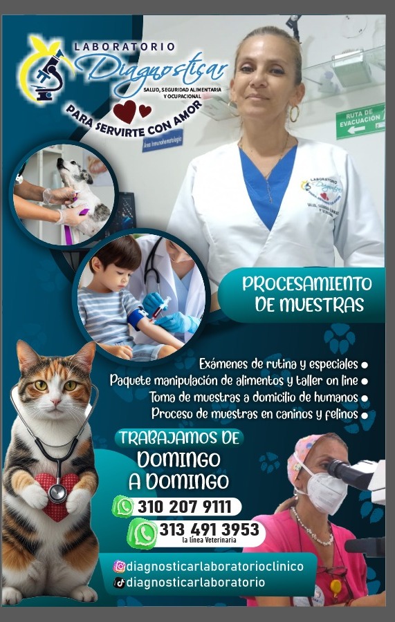 Servirte con amor — humanos y mascotas
