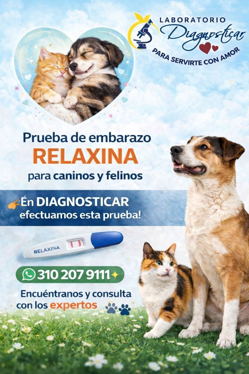 Prueba de embarazo Relaxina