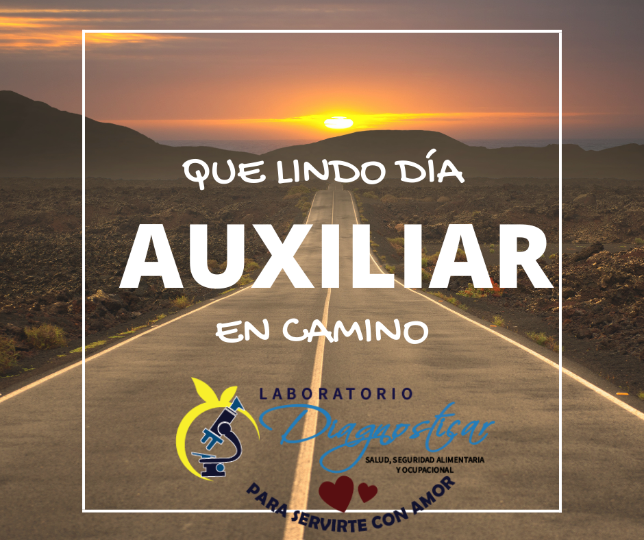 Auxiliar en camino